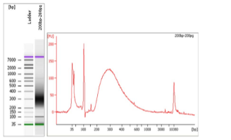 RNA-seq Total Transcriptome from low amount or low quality RNA ...